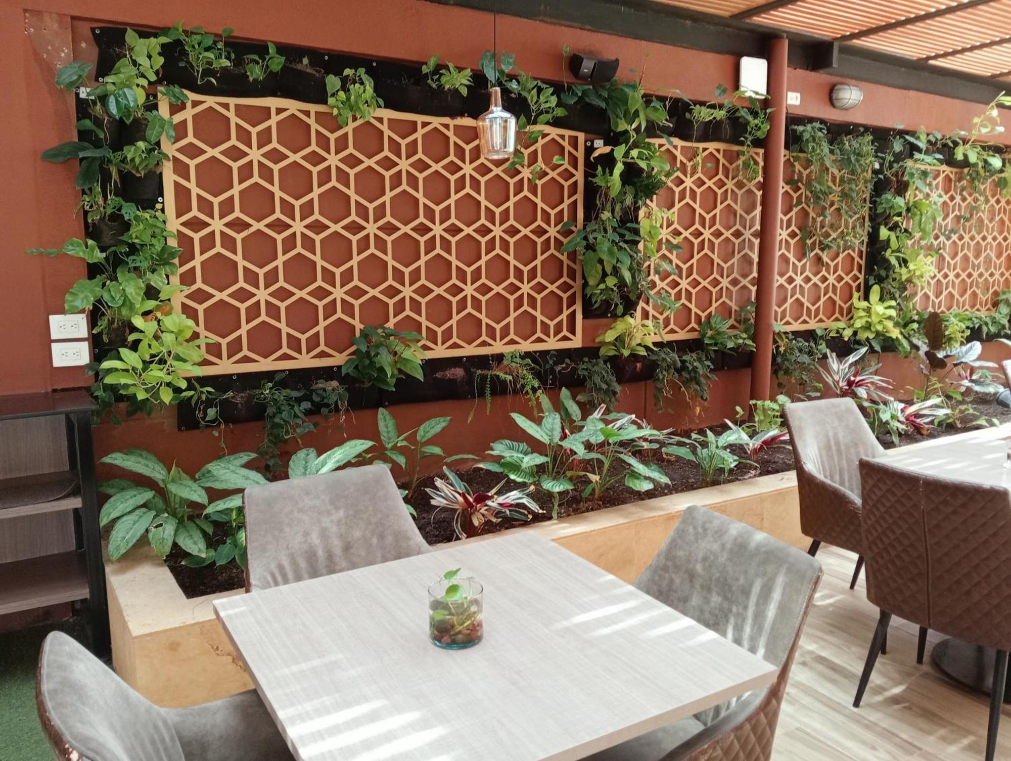 Hotel Lomas 10 Medellin By Dico Extérieur photo